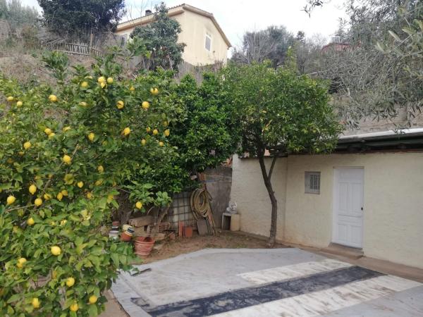 Terreno en calle de l'Avellaner, 9