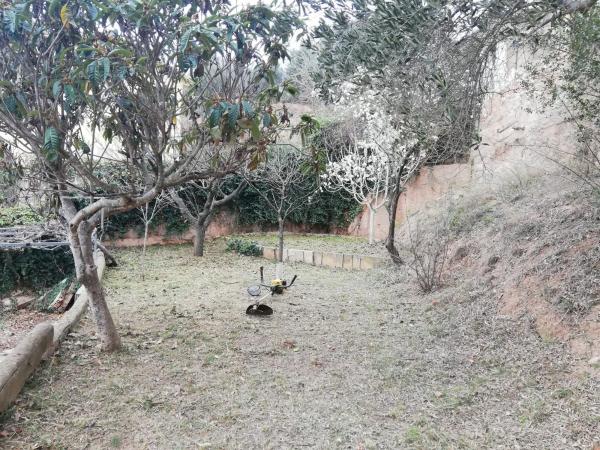 Terreno en calle de l'Avellaner, 9