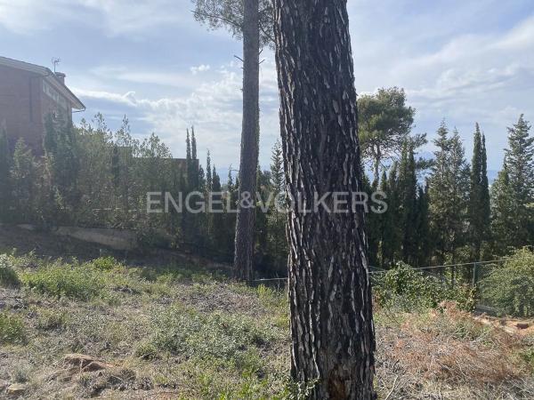 Terreno en Castellví de Rosanes