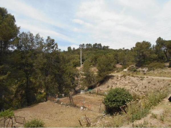 Terreno en carretera de Corbera