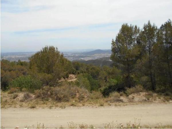 Terreno en carretera de Corbera
