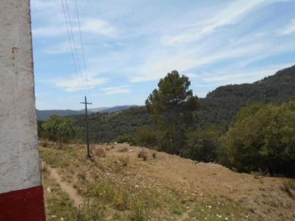 Terreno en carretera de Corbera