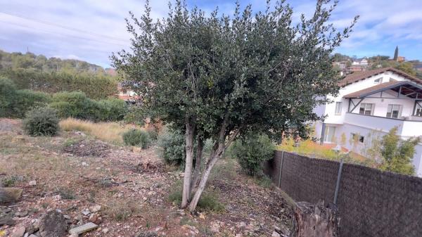 Terreno en via Doctor Josep Maria Tarruella