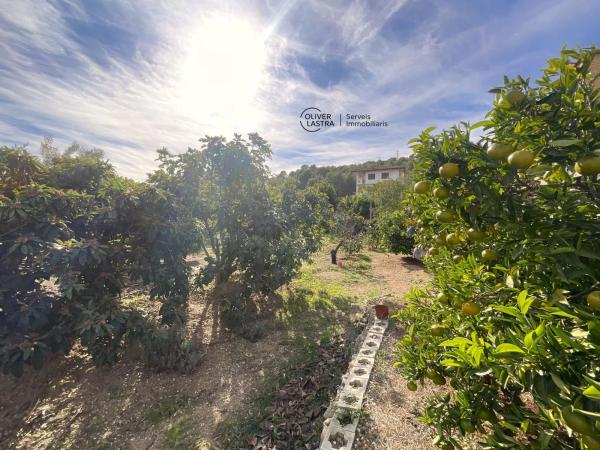Terreno en Sant Andreu de la Barca
