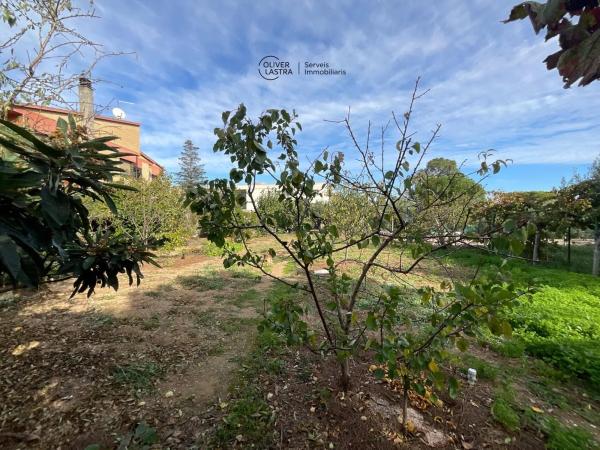 Terreno en Sant Andreu de la Barca
