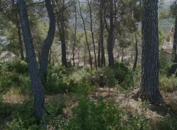 Terreno en calle Port de la Bonaigua