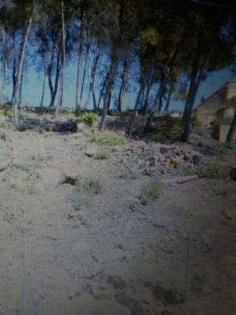 Terreno en calle Port de la Bonaigua