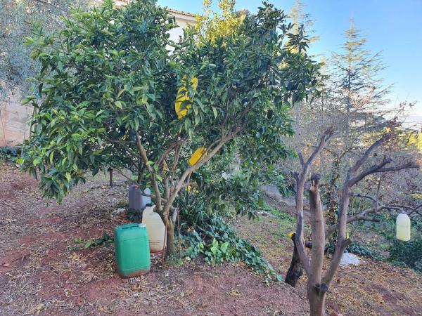 Terreno en Castellví de Rosanes