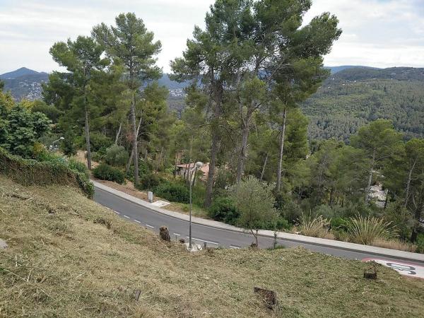 Terreno en calle Alegria, 16