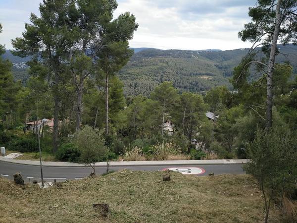 Terreno en calle Alegria, 16