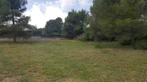 Terreno en l'ametller s/n