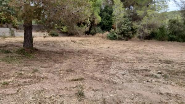 Terreno en l'ametller s/n