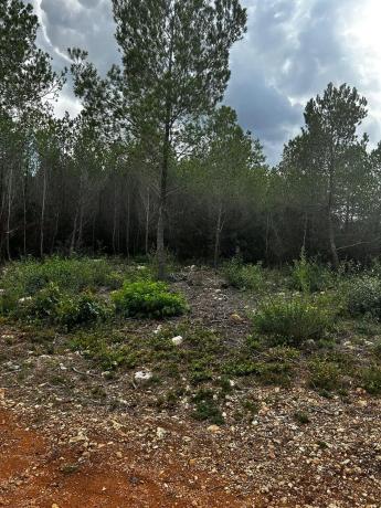 Terreno en Urbanització les Rovires, 74