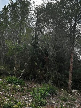 Terreno en Urbanització les Rovires, 74