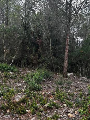 Terreno en Urbanització les Rovires, 74