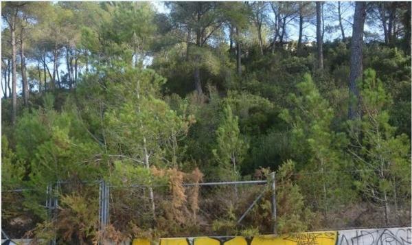 Terreno en Corbera de Llobregat