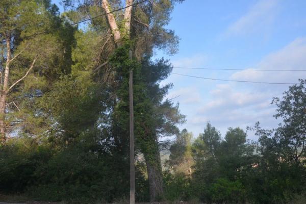 Terreno en Corbera de Llobregat