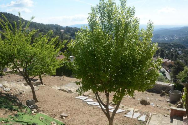 Terreno en Corbera de Llobregat