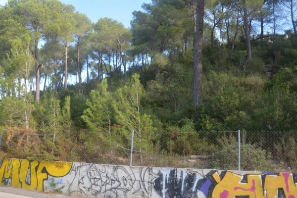 Terreno en Corbera de Llobregat