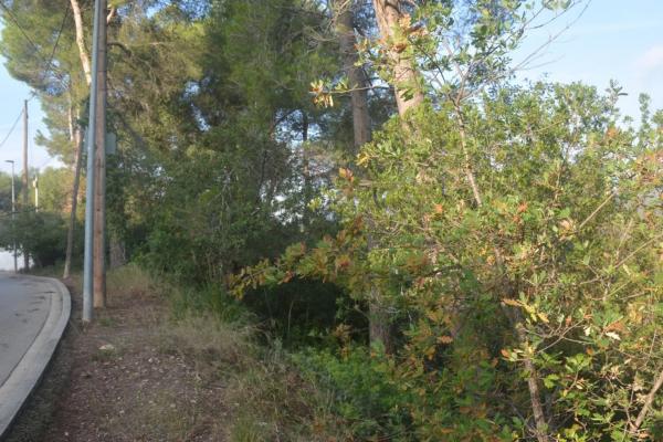 Terreno en Corbera de Llobregat