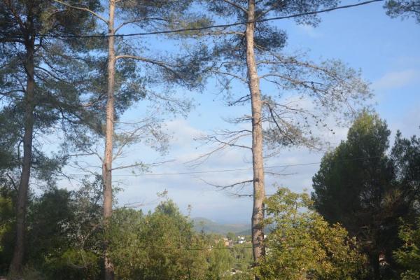 Terreno en Corbera de Llobregat