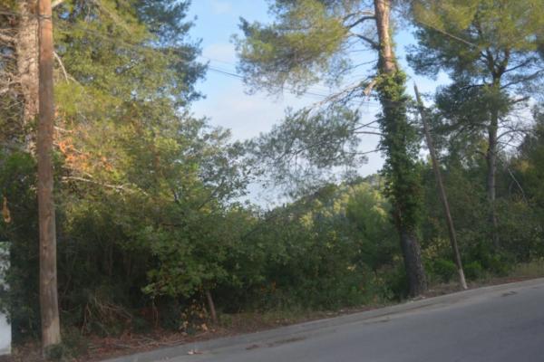 Terreno en Corbera de Llobregat