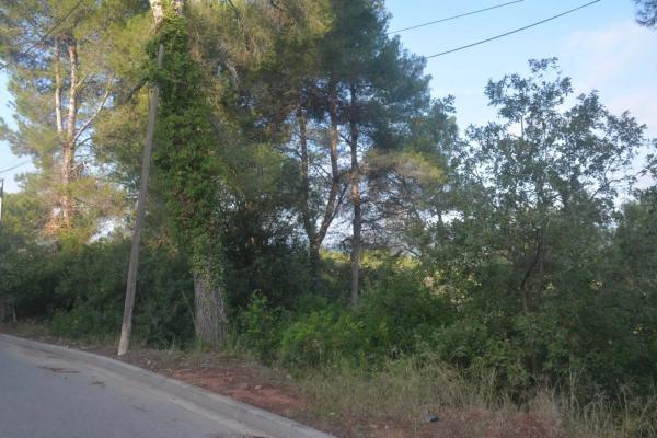 Terreno en Corbera de Llobregat
