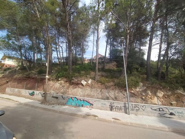 Terreno en Alzina, 9