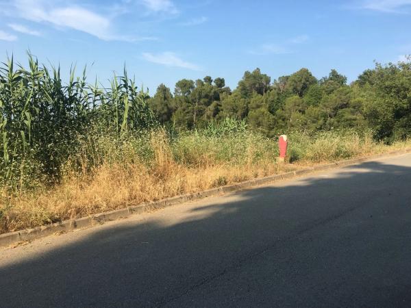 Terreno en avenida Roma, 25