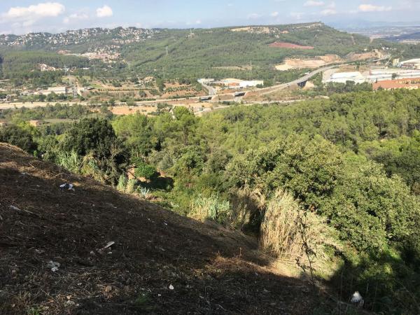 Terreno en avenida Roma, 25