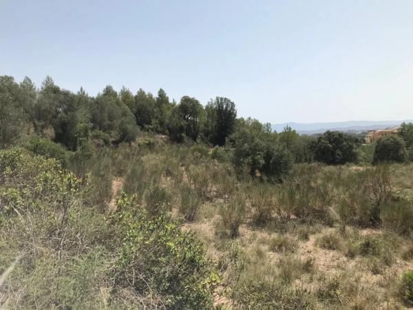 Terreno en Collbató