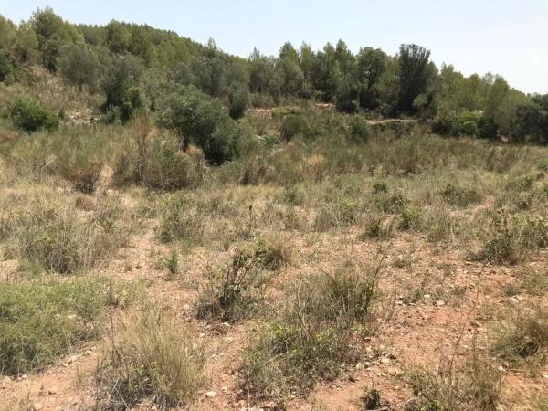 Terreno en Collbató