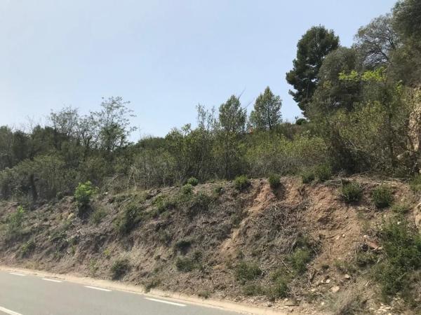 Terreno en Collbató