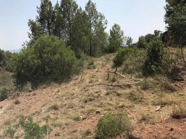 Terreno en Collbató