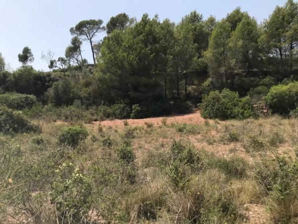 Terreno en Collbató