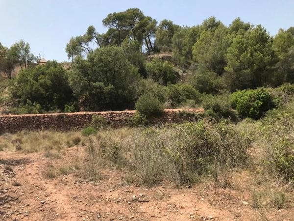 Terreno en Collbató