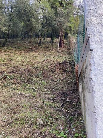 Terreno en calle Saturno, 42