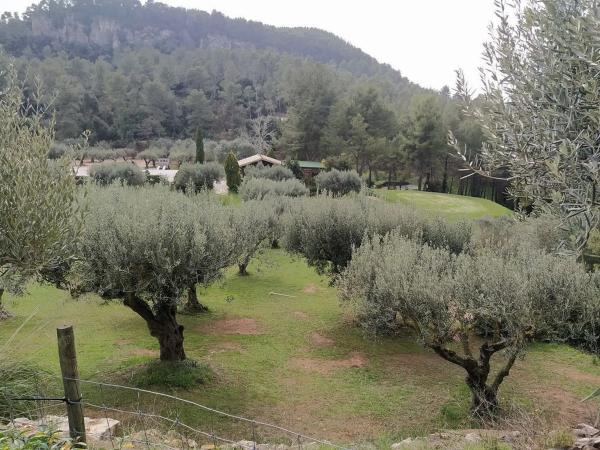 Terreno en Cervelló