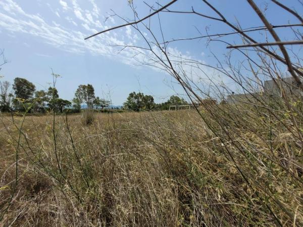 Terreno en Sant esteve Sesrovires