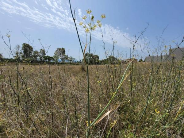 Terreno en Sant esteve Sesrovires
