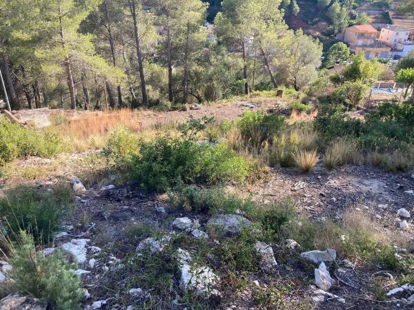 Terreno en avenida dels Païssos Catalans, 174