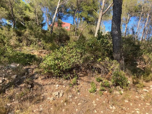 Terreno en avenida dels Païssos Catalans, 174