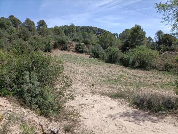 Terreno en carretera Olesa, 1