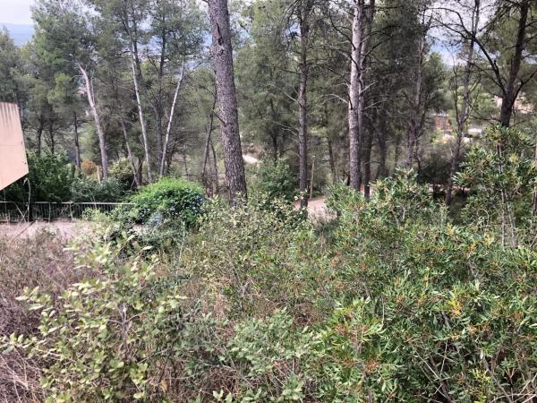 Terreno en Castellví de Rosanes
