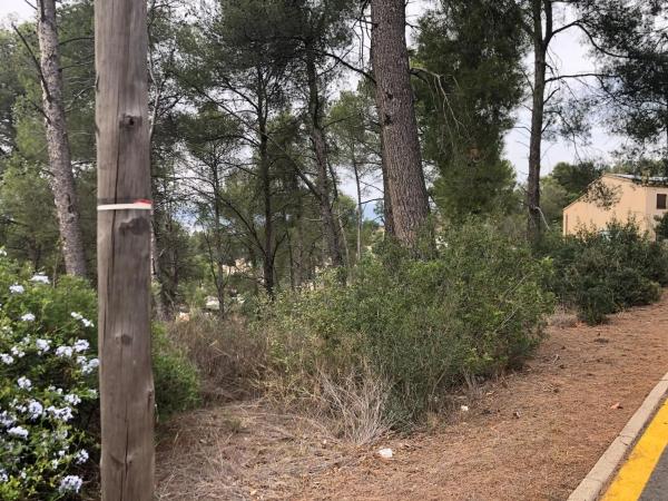 Terreno en Castellví de Rosanes