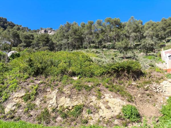 Terreno en calle Gregal, 41