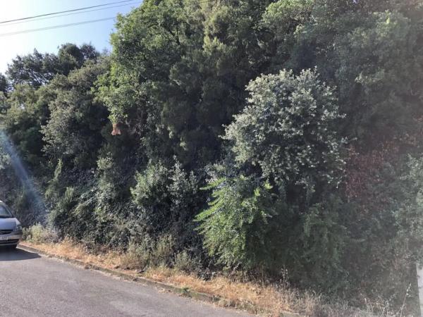 Terreno en Cervelló