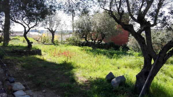 Terreno en avenida catalunya, 40