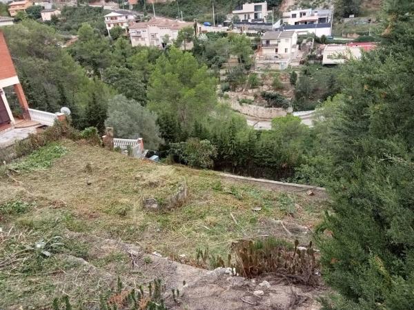 Terreno en paissos catalans, 50