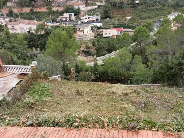 Terreno en paissos catalans, 50